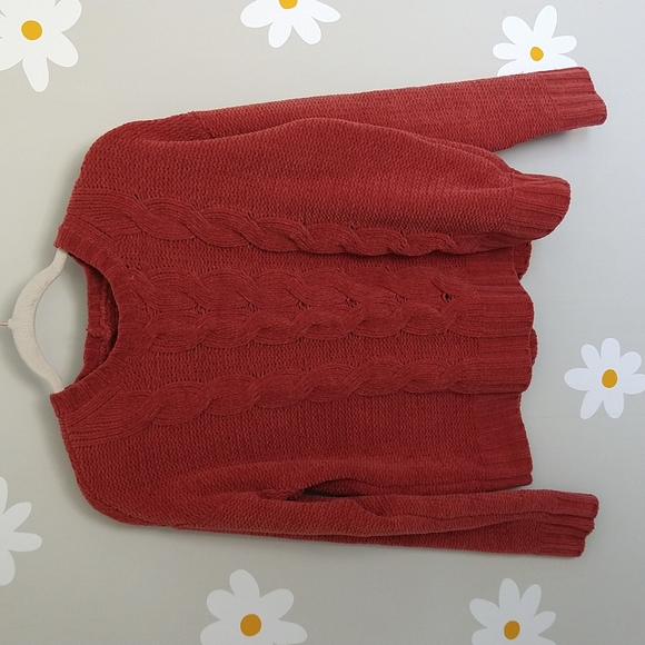 American Eagle Outfitters Sweaters - 🍁 3/$30 American Eagle Cozy Coral Chenille Sweater